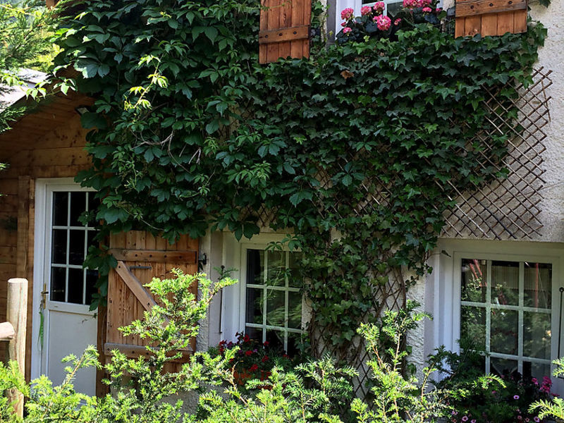 Le chalet des petits loups
