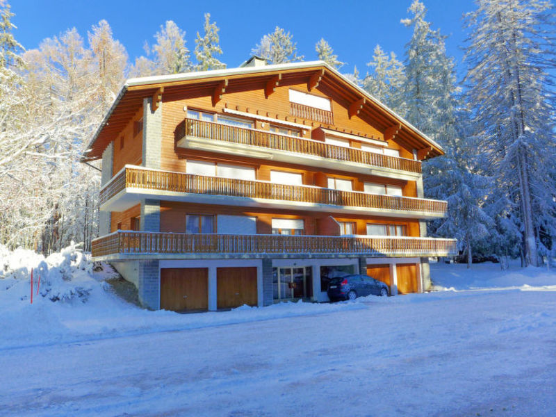 Les Chamois