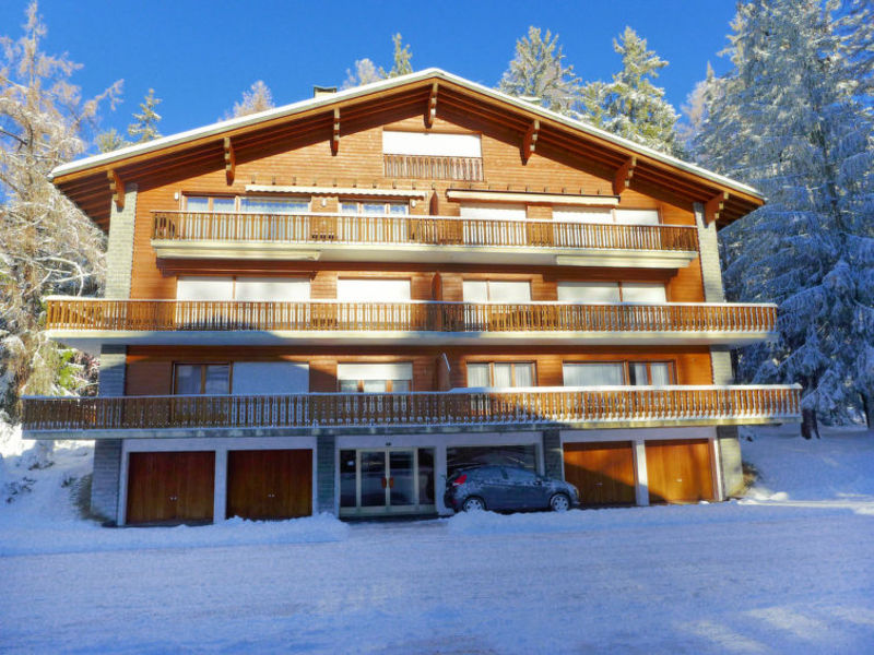 Les Chamois
