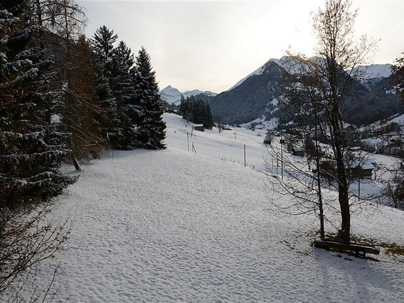 Les Erables, Chalet