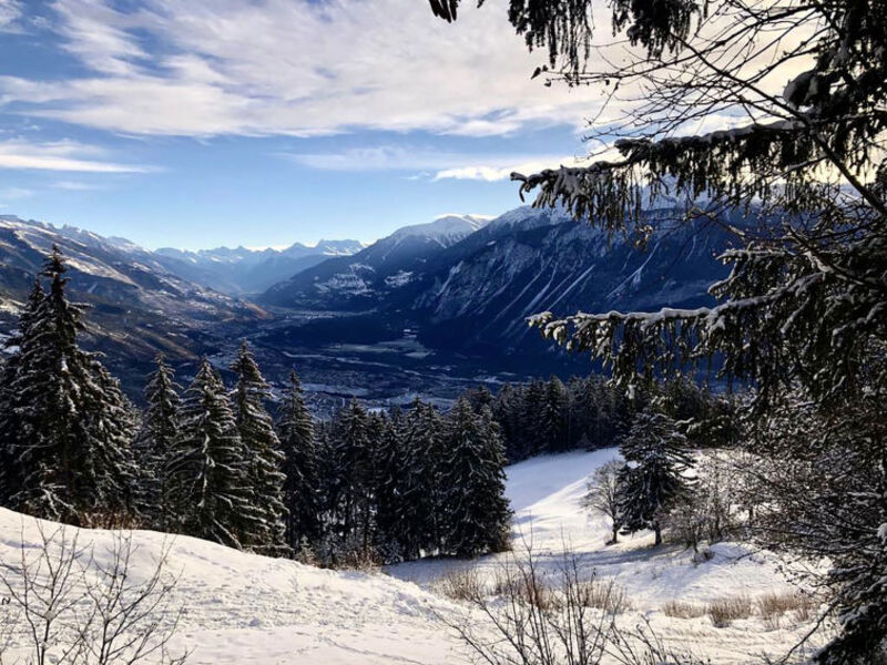 Lisière-Sud