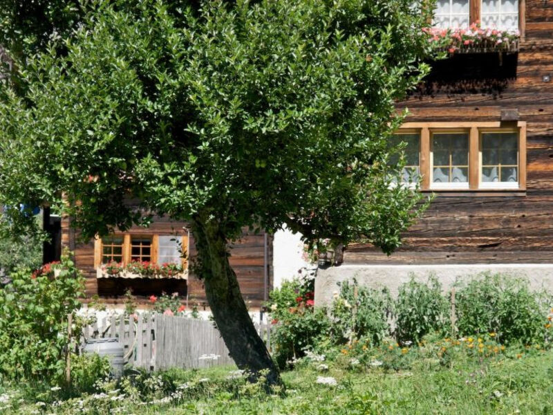 Milimatta Studio
