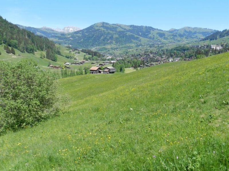 Moosfang