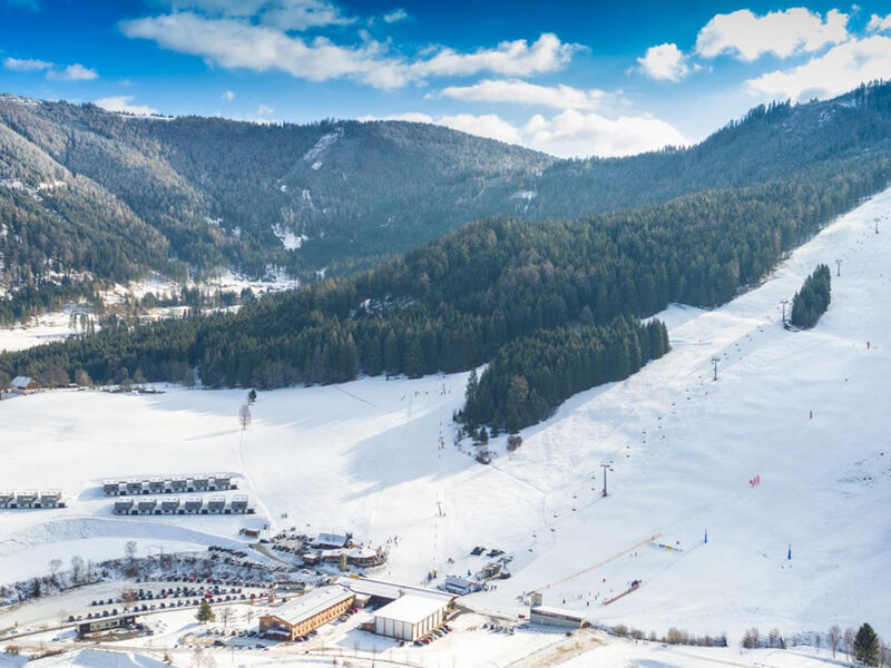 Naturpark Chalets Lambrecht by ALPS RESORTS