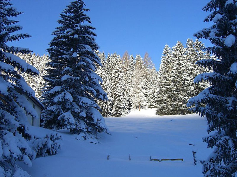 PRIVÀ Alpine Lodge SUP3