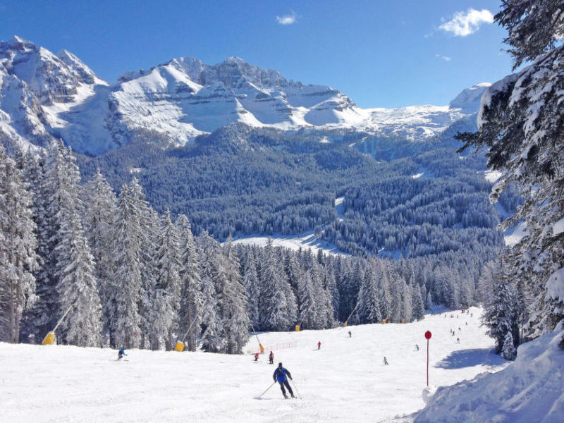 Res. La Rosa delle Dolomiti (MAP300)