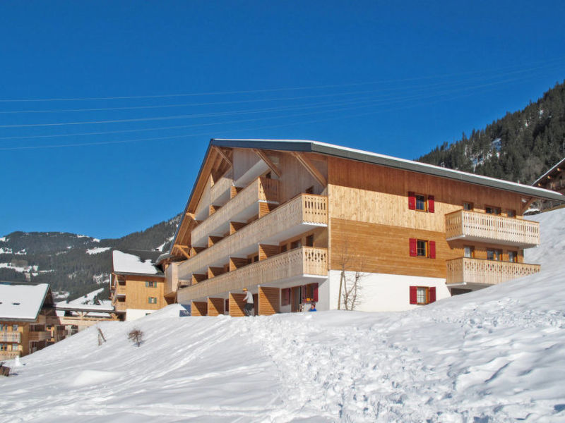 Résidence Le Grand Lodge (CAT100)
