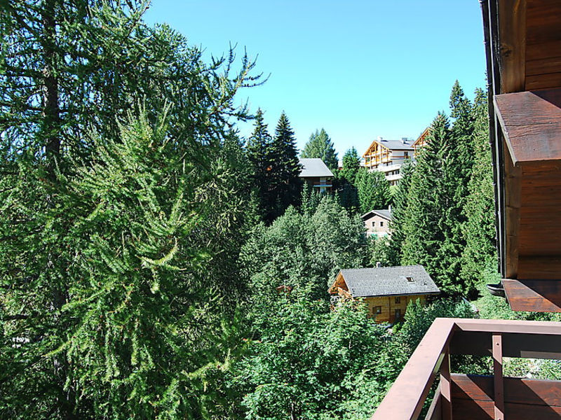 Rocca C