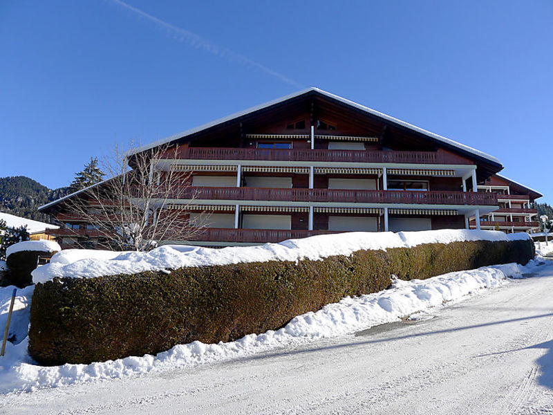 Rubis 1