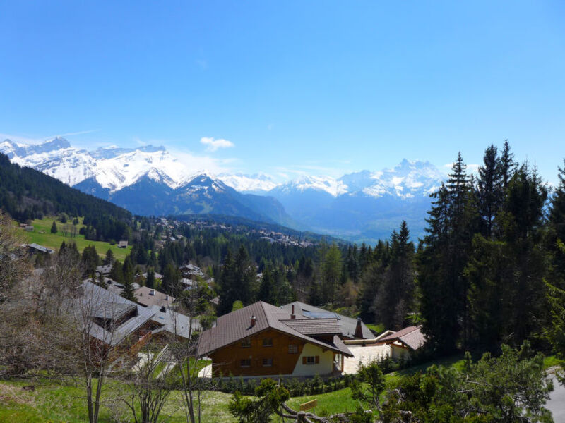 Savoie 11
