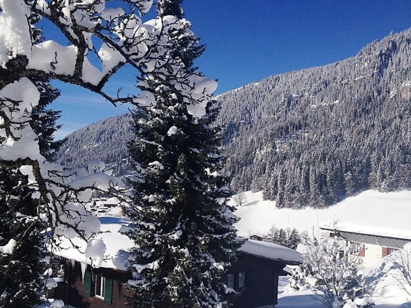 Schluchter (Mon Abri), Werner