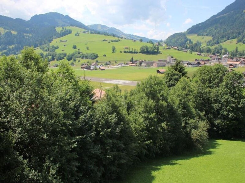 Schön-Egg