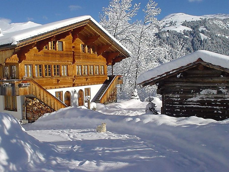 Schöpflihus