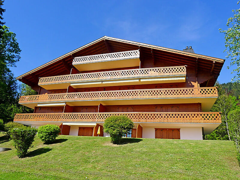 Soldanelles 3