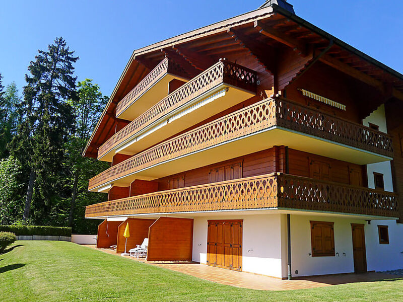 Soldanelles 3