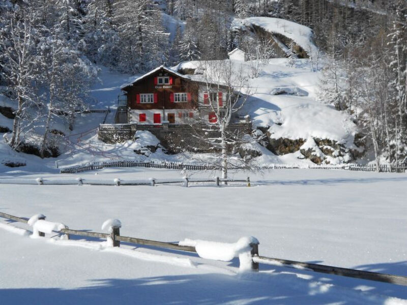 Sonnenheim (SAF5908)