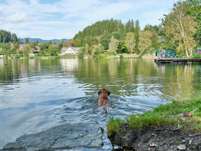 Sonnenresort Maltschacher See