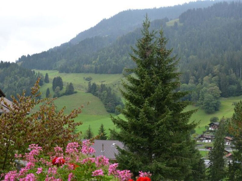 Spillgerten-Blick