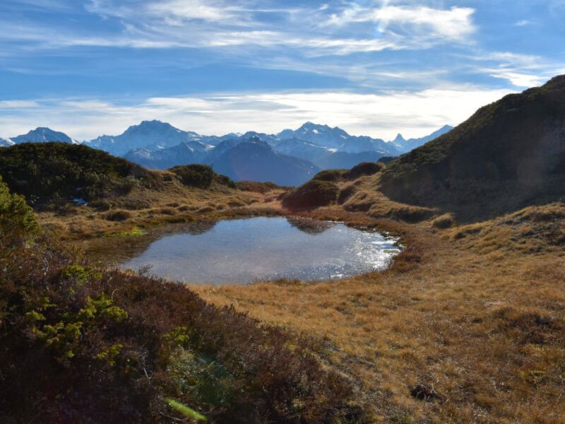 Südlenz 33