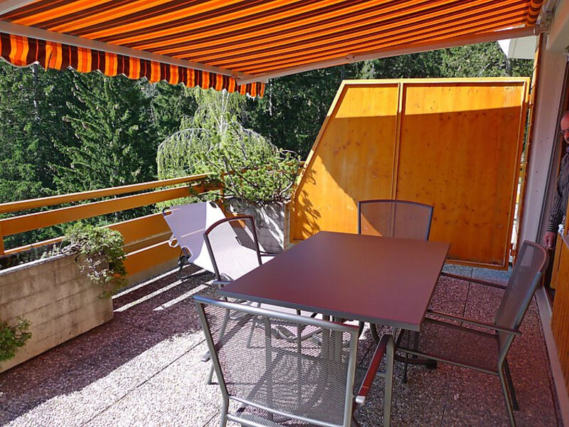 Terrasse des Alpes