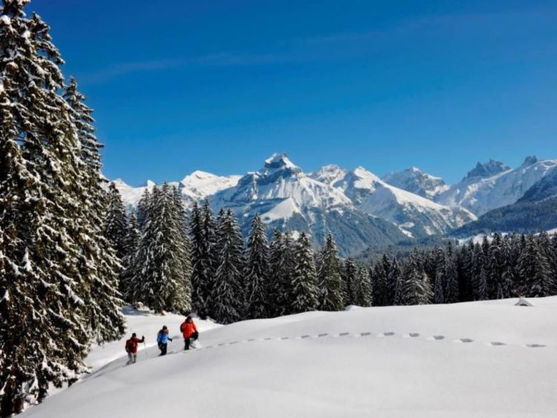TITLIS Resort Wohnung 702