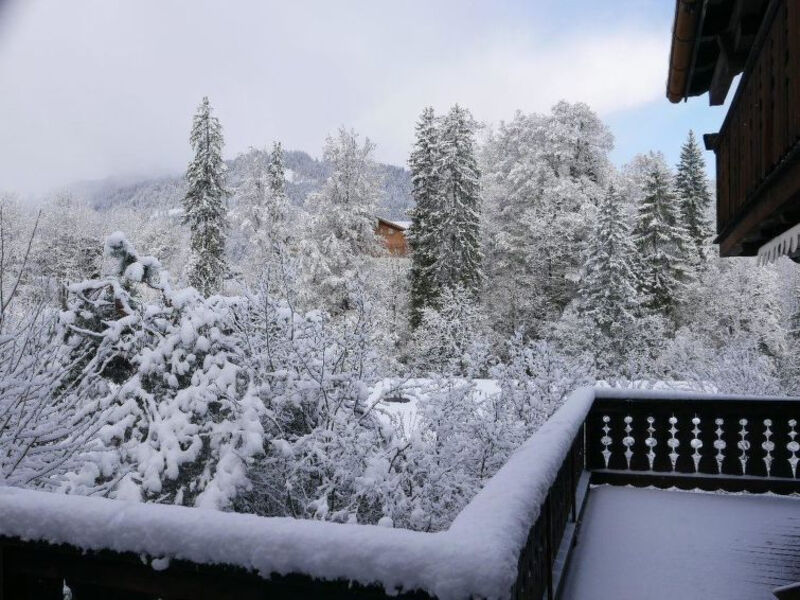 Tree-Tops, Chalet