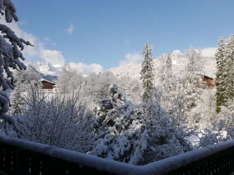 Tree-Tops, Chalet