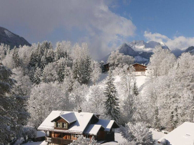 Tree-Tops, Chalet