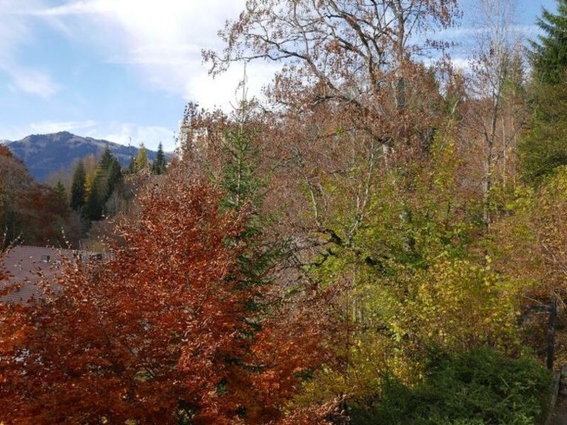 Tree-Tops, Chalet