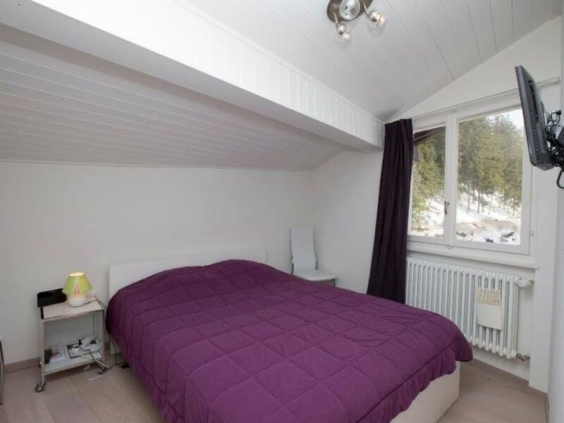 Violettes Vacances B