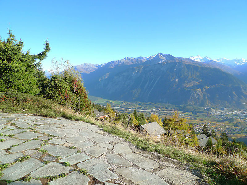 Voltorrent