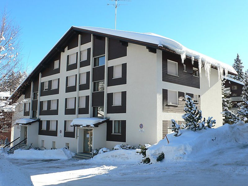 Voltorrent