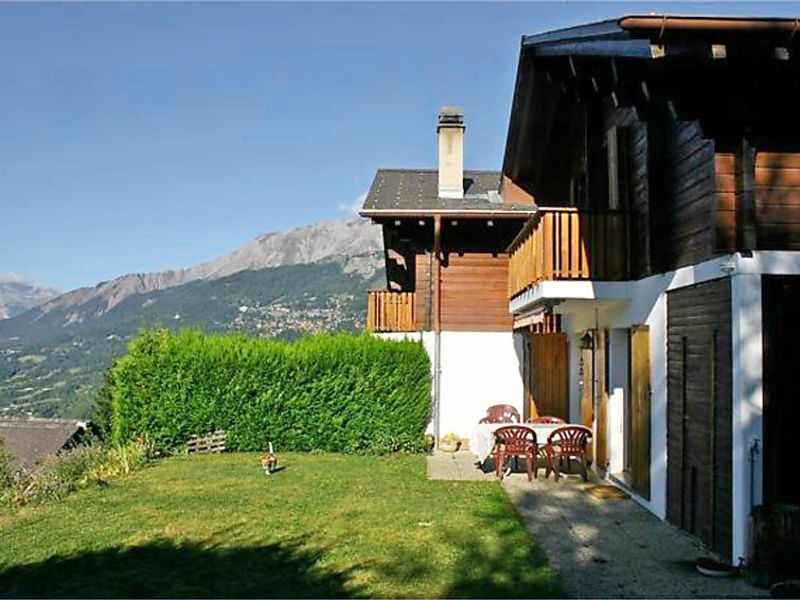 Voltorrent