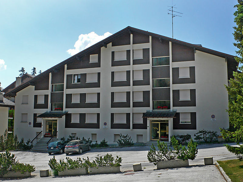 Voltorrent