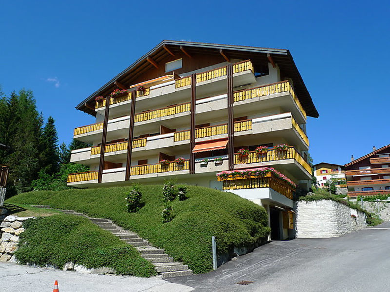 Voltorrent