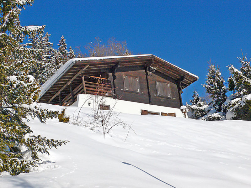 Voltorrent