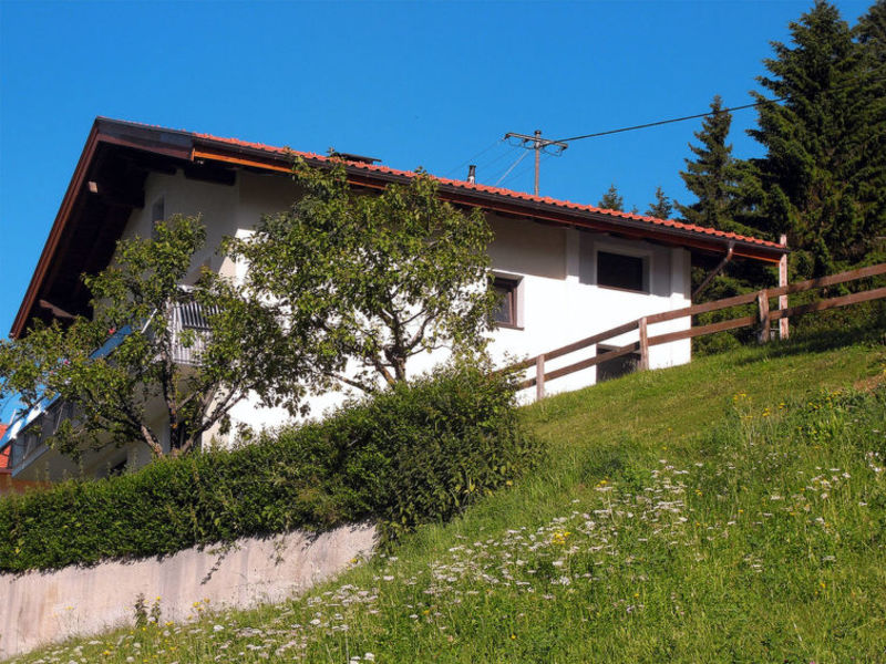 Wohnung Alpenrose (GSN111)