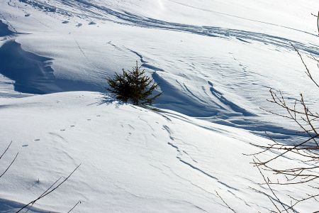 Lyžování v Alpe d'Huez - ilustrační fotografie