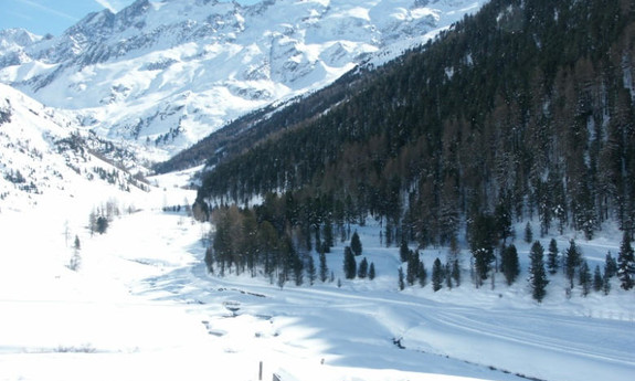 Náhled skimapy areálu Skicenter Langtaufers / Maseben