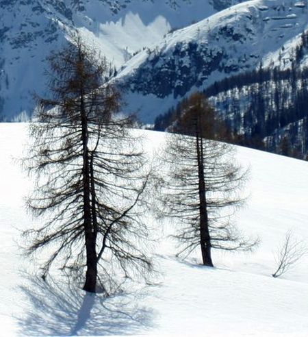 Ponte di Legno - ilustrační fotografie