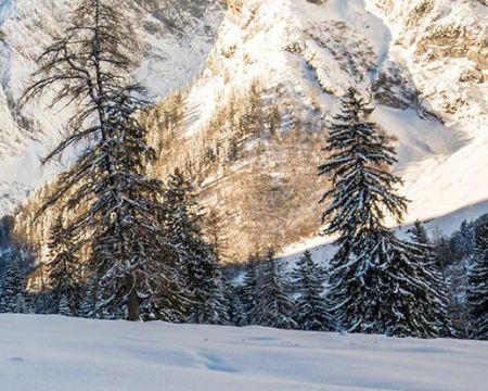 Stein an der Enns - ilustrační fotografie